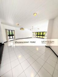 Rebecca Road (D10), Detached #502891231